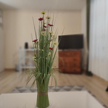 Appartement En Residence ז'יזור מראה חיצוני תמונה