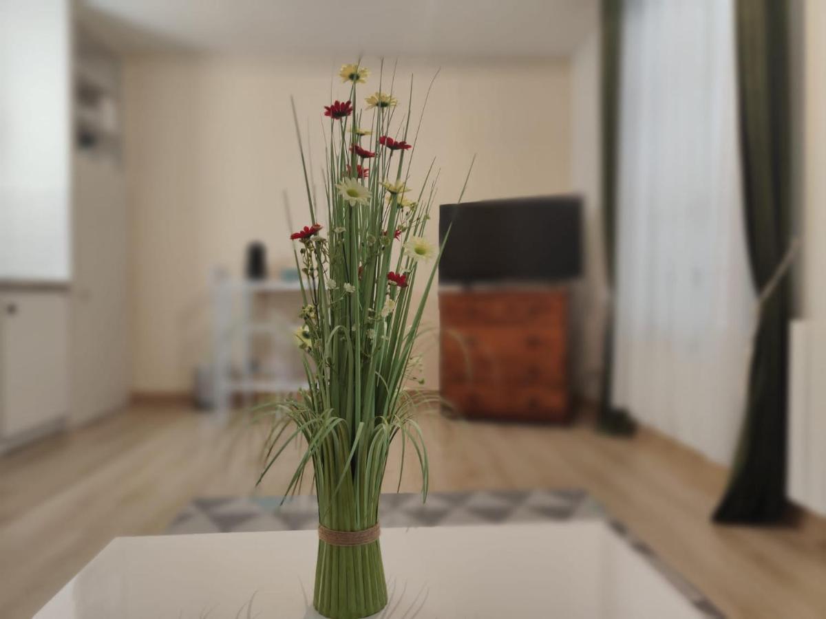 Appartement En Residence ז'יזור מראה חיצוני תמונה